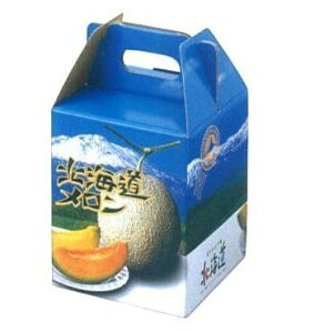 Mtg@kCD1@1ʗp񔠁i5j