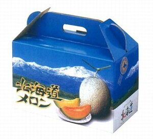 Mtg@kCD2@2ʗp񔠁i5j