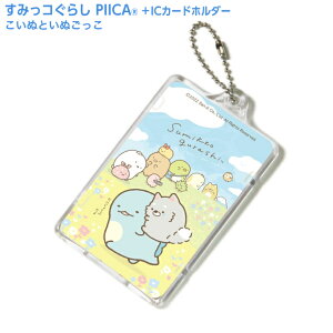 ���݂��R���炵 �����ʂƂ��ʂ����� �s�[�J+IC�J�[�h�z���_�[ �� LED���� ����p�X�P�[�X ������� ��ڐG�^ IC�J�[�h ��ʌnIC�J�[�h �Ј��� ID�J�[�h �d�q�}�l�[�J�[�h PIICA ���݂��R���炵10