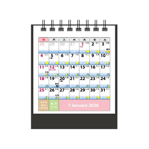 2026N J_[1n܂~jX^h ƋCT-573