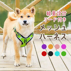 犬 ハーネス リードセット メッシュ 抜けない 脱げない 胴輪 小型犬 中型犬 大型犬 調節可能 クッション入り 簡単装着 通気 蒸れない 涼しい おしゃれ かわいい 散歩 迷子防止 | N QUARTET