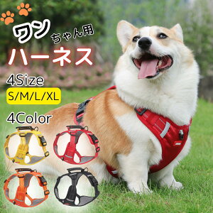 n[lX  ȒP EȂ   NbV [h obN bN@\ iXJ   Ȃ ^ ^ ^   S U