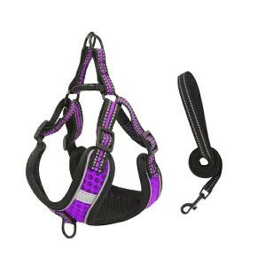  n[lX [h bV Ȃ EȂ 킢  S  K ȒP NbV@^ ^ ^   S  U