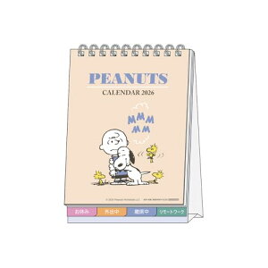 TX^[ Xk[s[ 2026N J_[  Be[W S8521670