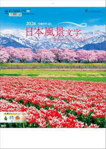 {i TD-801 2026N J_[ Ǌ| CL26-1036