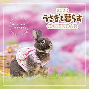 ƕ炷CALENDAR2022 ([J_[])