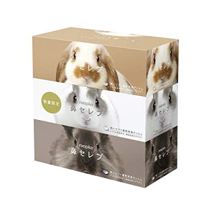 lsA @Zu eBV 400(200g)×3pbN x pbP[W