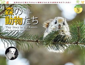 カレンダー2024 太田達也セレクション 森の動物たち Tiny Story in the Forests（月めくり/壁掛け） (ヤマケイカレン