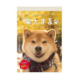 新日本カレンダー 2024年 カレンダー 壁掛け 柴犬まる 小 NK4008