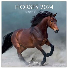 ドレジャー 2024年 ラージカレンダー HORSES 壁掛け 馬 動物 競馬 スケジュール 写真 祝日シール calendar