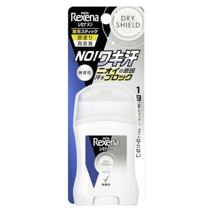 レセナ メン ドライシールド パウダースティック 無香性 20g
