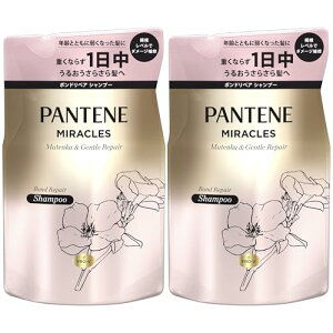 pe[~NY Y&WFgyA Vv[lߑւx2 350g+350g Zbg