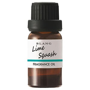 J[Cg(CARMATE) ԗp p  F tOXfBt[U[ p tOXIC CXJbV L100