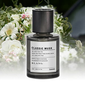 J[Cg(CARMATE) ԗp LF BLANG uO Lbh NL u^ NVbNXN e 160ml L915