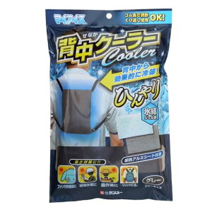 P[ }CACX wN[[iO[j p ⊴ ƕ  O