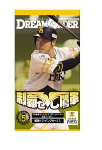 v싅J[hQ[ DREAM ORDER cu[X^[ \tgoNz[NX ueRv BOX