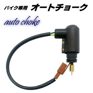 XN[^[ ėp I[g`[N }n }WFXeB 125 WO 50 100 Jv[I 4Xg Lu^[ YAMAHA