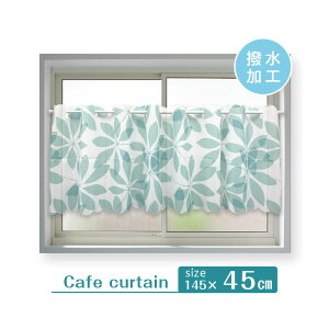CJ[e J[e ͂ ͂ H JtFJ[e  J[e J[e ډB  i` Vv [t 145×45cm