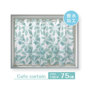 CJ[e J[e ͂ ͂ H JtFJ[e  J[e J[e ډB  i` Vv [t 145×75cm