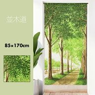 のれん おしゃれ カーテン 間仕切り 目隠し ロング 風景 絵画 写真 写実的 春 初夏 自然 並木道 ナチュラ…
