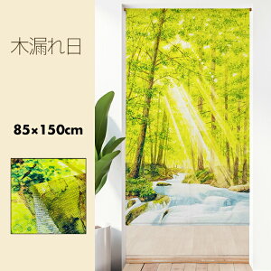 ̂  J[e Ԏd؂ ډB G ʐ^ ʎI R i i` ؘR 85×150cm