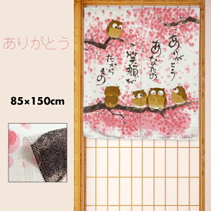 ̂  J[e Ԏd؂ ډB a a a_ bZ[Wt  N K^   ӂ낤 肪Ƃ 85×90cm { Y