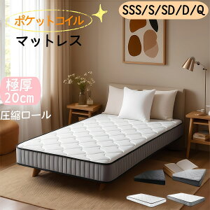 xbh}bgX }bgX |PbgRC |PbgRC GbWT|[g ̈U VO Z~_u _u }bg XvO}bg xbh}bg XvO ʋC 20cm