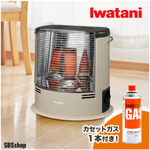 �C���^�j �J�Z�b�g�K�X�X�g�[�u �f�J�g2 CB-STV-DKD2