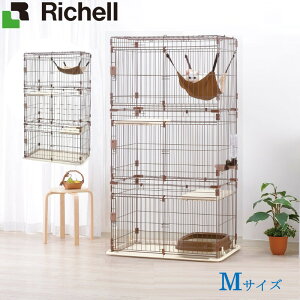 b`F Richell bNXLbgT[N M uE(BR)ybgpi ybgObY nEX  C[ L ˂ nbN