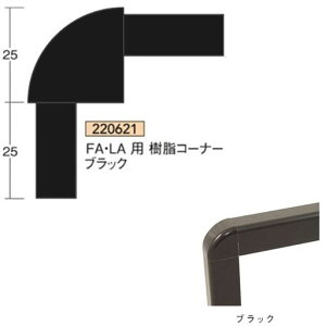 FAELApR[i[1ABS^i pt[AC^220621ysz[@l/Ǝ҂Ă̂]