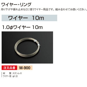 1.0C[ 10m M-900 1{ ݂艺EU~ߓC[piyalmodeA[hzysz[@l/Ǝ҂Ă̂]