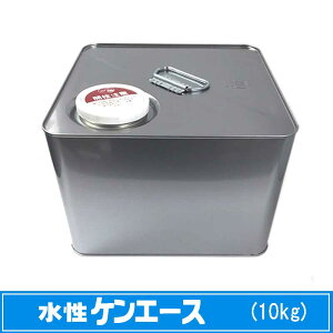 jby@PG[X F 10kg 1ʁmOǓhnm{yCgnmjbynmn