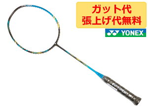 ���l�b�N�X �A�X�g���N�X 88S �v���C ASTROX 88S PLAY Emerald Blue 4U5 ���������� ���P�b�g �J�o�[�t��