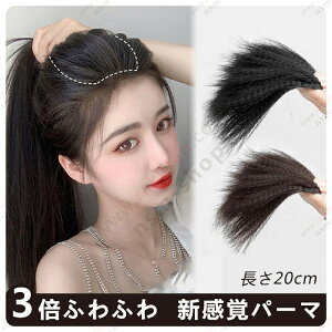 ~j GNXe EBbO EF[B[ wAs[X 3{ӂӂ ?^   Vo p[} |CgEBbO ~`Eя EBbO   ނ Jo[ p 