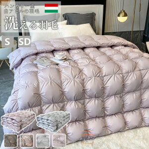 Hѕzc VO _u nK[Y Hѕzc zCgO[X_E 95 RCh[ 􂦂 VO _u R h_j O[X zCgO[X |zc |zc Hъ|zc