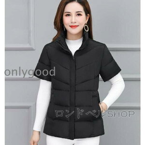 fB[X WPbg _ExXg h 킹₷ ȃxXg H~ V AE^[ 㒅 y ۉ hV̓ 40 50 60 70