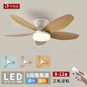 y2025Vo+r[TzV[Ot@Cg led V[Ot@ t@tƖ V[OCg  8 10 12 F t]@\ Ɩ VƖ 5H @ 