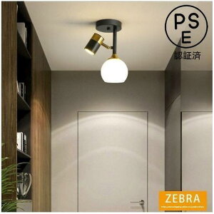 シーリングライト ダウンライト スポットライト 2灯 天井照明 ブラケット ベランダ 寝室 階段 廊下 玄関ランプ 照明角度調節 工事必要 LED照明器具 欧米現代簡約