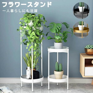 【新発売限定記念価格!】プランタースタンド フラワースタンド スタンド 室内 80cm 観葉植物 スリム 飾り台 北欧風 白 ホワイト 黒 ブラック ゴルード 高さ 50 玄関 お花 花瓶 置き 棚 植木鉢