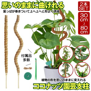 Xe x Ȃ RRXeBbN 2{  ϗtA Xex |x X|[ A K[fjOp RRibcx AT|[g 30cm 40cm 50cm 60cm 70cm 80cm |gX | 