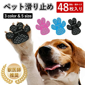 bt  ~ V[ ybgpC  ~ V[ 48  C   C ppbh p t[O Ȃ  VjA V ^ ybgpC