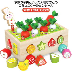 【3点15%offクーポン配布中! 知恵おもちゃ 知育玩具 子ども 知育 2歳 木製 出産祝い 木製玩具 積み木 3歳 4歳 積み木 1歳 教具 子供オモチャ 子供おもちゃ