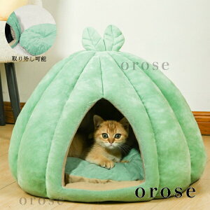  ybgnEX h[^ ybgxbh  킢 pxbh Lpxbg ӂӂ   H~ 薰 Lxbh O[ 􂦂  ϋv ^ 