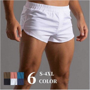 {gX tBbglX X|[cEFA pc V[gpc Xgb` ̌^Jo[ X|[c n C[W[pc ~ {gXnK[ Z Zp ؃g g[jO WEFA 3