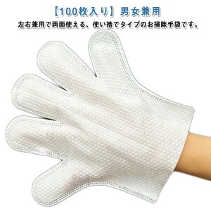 ĝĎ sDz  100 jp l | | GAR  ׂ| | R[h P[u ̖ |  zR N[j | O[u 