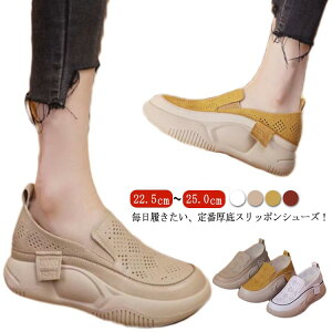 O Xb| JWAV[Y Xj[J[ }}V[Y Xj[J[ V[Y  ₷ bV ʋC t }^jeBV[Y  Y fB[X