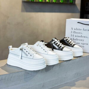 Xj[J[ Ɩ ~[ fB[X t  Cq[ CXg[ Wbvt JWA ʋC v zCg ubN ig