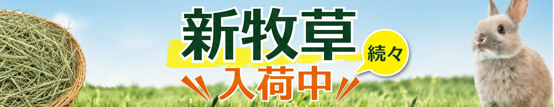 新牧草