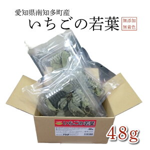 Y  @ymmYž@yЍHz@Ői@p ̎t48gi16g×3jY@F