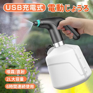  Xv[ dXv[ d傤  dXv[ d 2L e ʋ  Type-C[d dEH[^[Xv[ 傤 Xv[ | |  